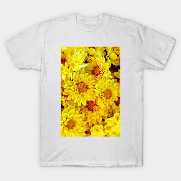 Yellow Daisies T-Shirt by WaterGardens